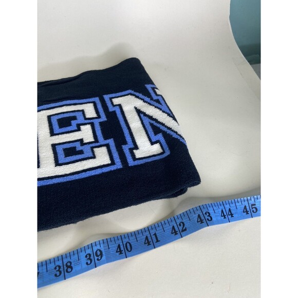 Harry Potter Ravenclaw Winter Scarf Knit with Tassels Blue White Adult Unisex - Picture 5 of 5